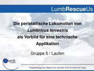 lumb rescue us
