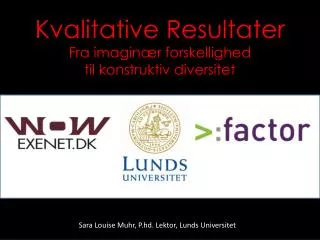 kvalitative resultater fra imagin r forskellighed til konstruktiv diversitet