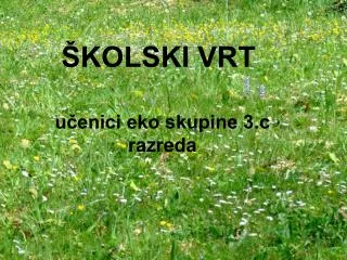 kolski vrt