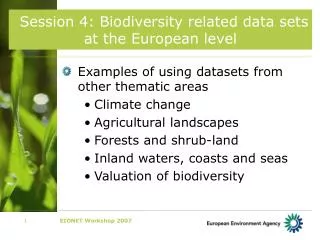 Session 4: Biodiversity related data sets at the European level