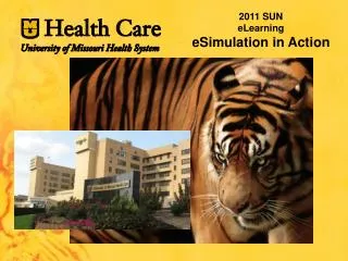 2011 SUN eLearning eSimulation in Action