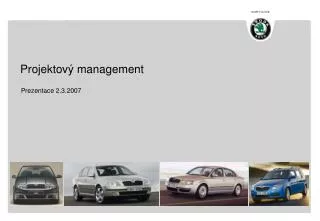 projektov management