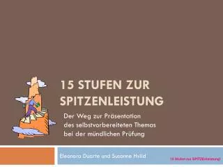 15 stufen zur spitzenleistung