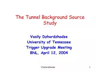 The Tunnel Background Source Study