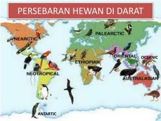 persebaran hewan di darat