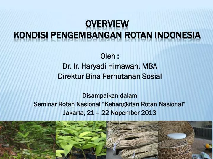 overview kondisi pengembangan rotan indonesia