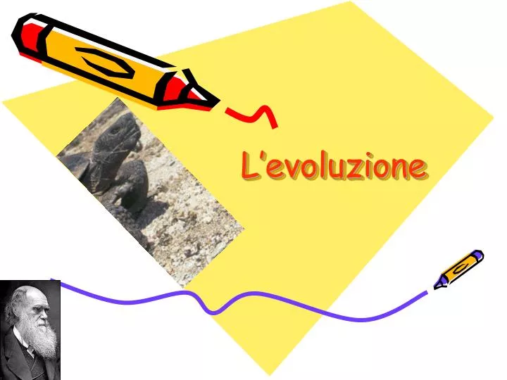 l evoluzione