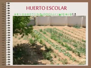 huerto escolar