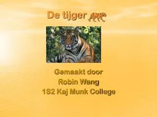 de tijger