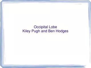 Occipital Lobe Kiley Pugh and Ben Hodges