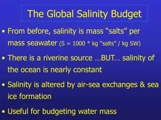The Global Salinity Budget