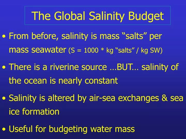 the global salinity budget