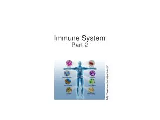 Immune System Part 2