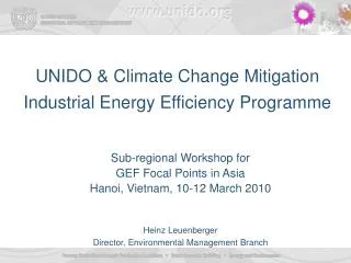 unido climate change mitigation industrial energy efficiency programme
