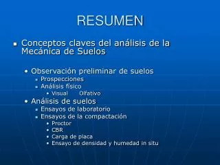 resumen