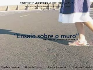 ensaio sobre o muro