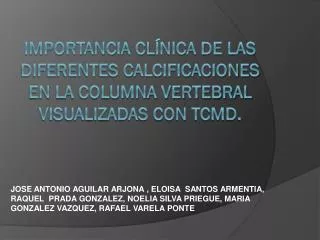 importancia cl nica de las diferentes calcificaciones en la columna vertebral visualizadas con tcmd
