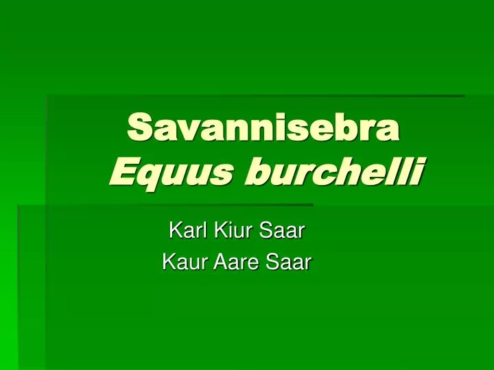 savannisebra equus burchelli