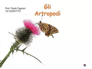 gli artropodi