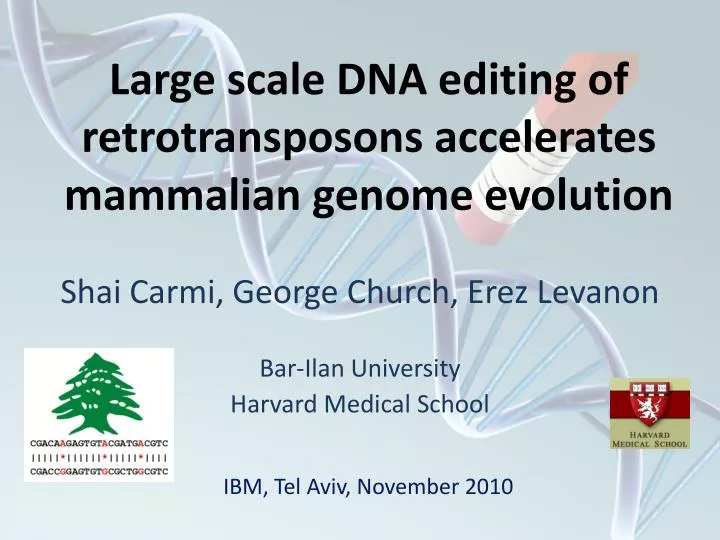 large scale dna editing of retrotransposons accelerates mammalian genome evolution