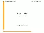 Matricea BCG - slide 1