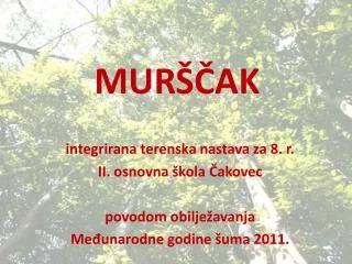 mur ak