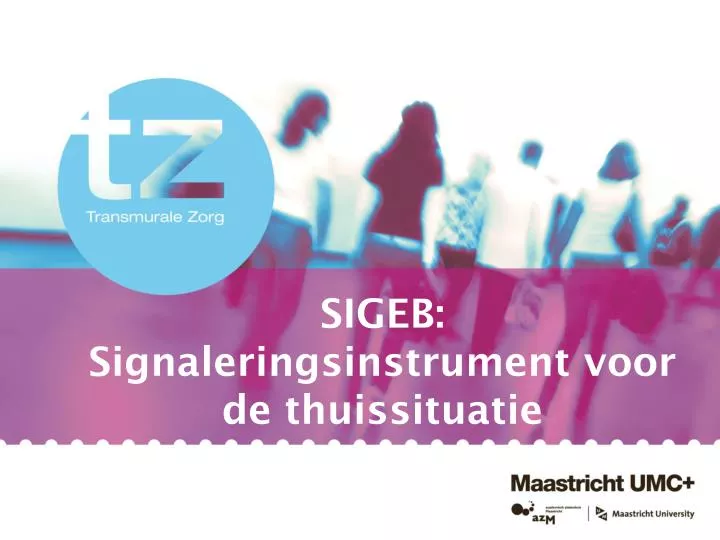 sigeb signaleringsinstrument voor de thuissituatie