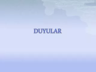 duyular