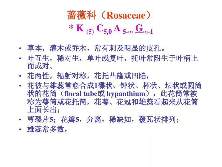 rosaceae k 5 c 5 0 a 5 g 1