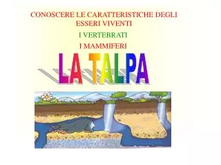 conoscere le caratteristiche degli esseri viventi