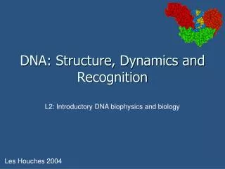 DNA: Structure, Dynamics and Recognition