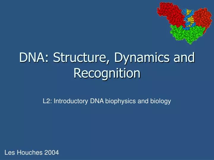 dna structure dynamics and recognition