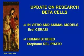 UPDATE ON RESEARCH BETA CELLS