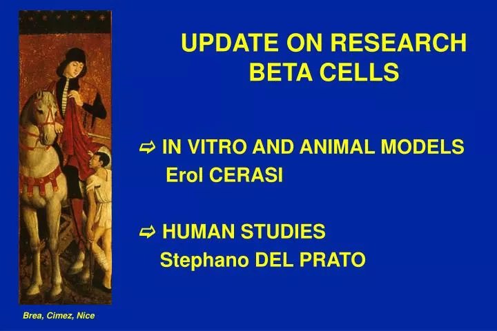 update on research beta cells