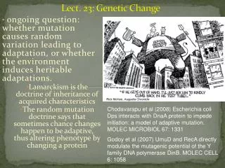 Lect. 23: Genetic Change