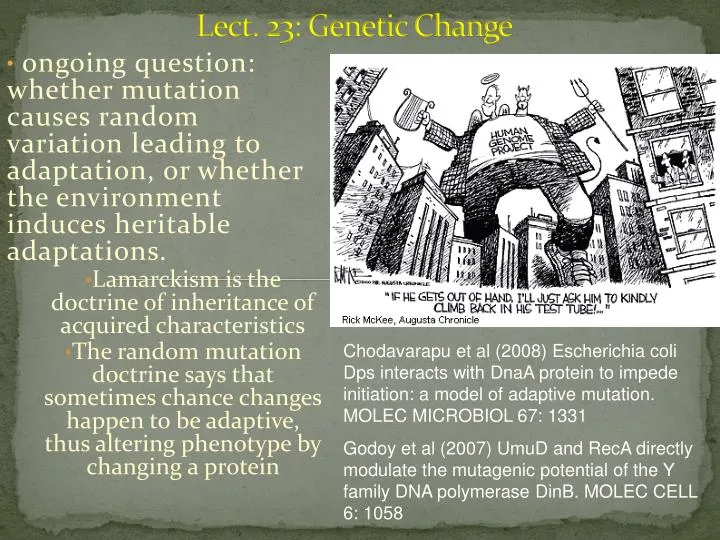 lect 23 genetic change