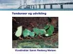 Tendenser og udvikling - slide 1