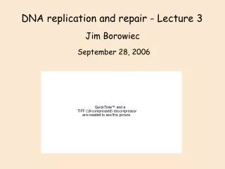 DNA replication and repair - Lecture 3