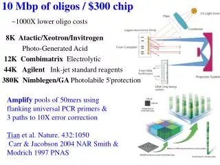 10 Mbp of oligos / $300 chip