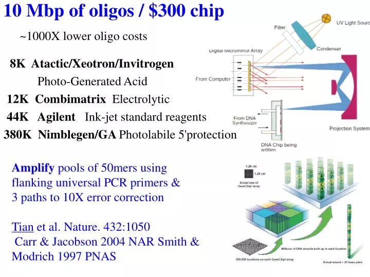 10 mbp of oligos 300 chip