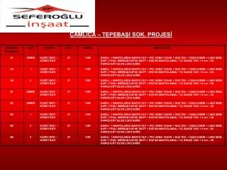 amlica tepeba i sok projes
