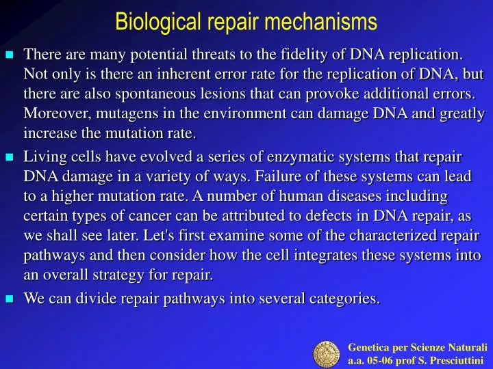biological repair mechanisms