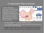 A Catastrophic Natural Disaster - slide 1