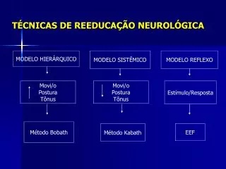 t cnicas de reeduca o neurol gica