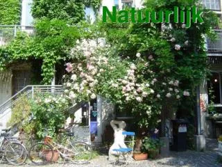 natuurlijk