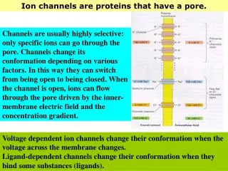 Ion channels are proteins that have a pore.
