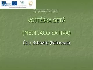vojt ka set medicago sativa