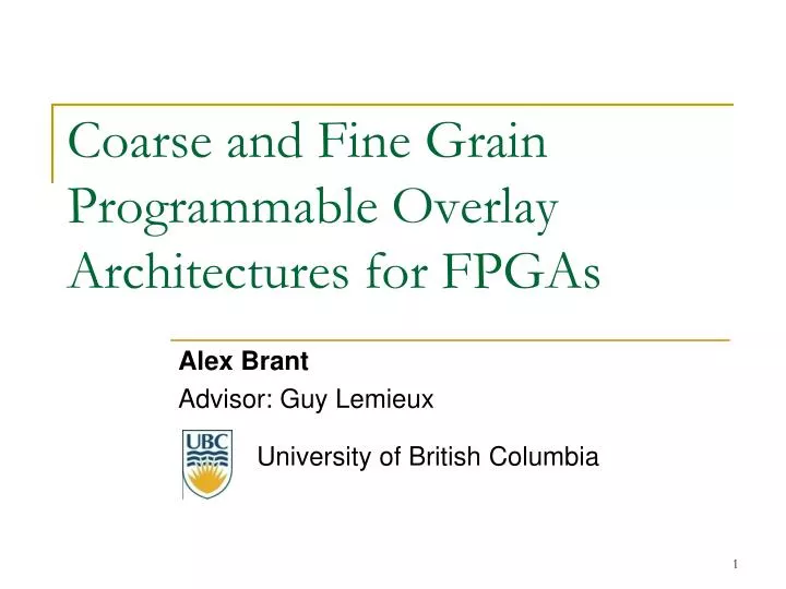 coarse and fine grain programmable overlay architectures for fpgas