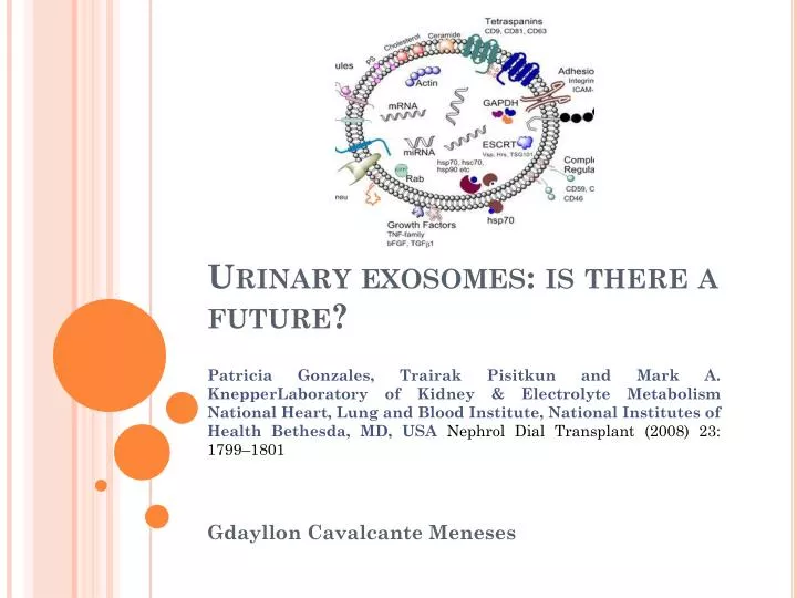 urinary exosomes is there a future