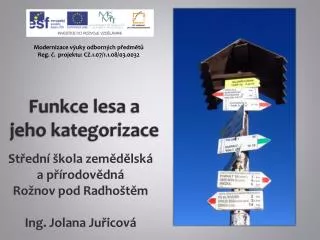 funkce lesa a jeho kategorizace